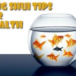 Alternate Healing - Fish Tank - Feng Shui tips for Wealth