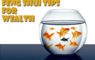 Alternate Healing - Fish Tank - Feng Shui tips for Wealth