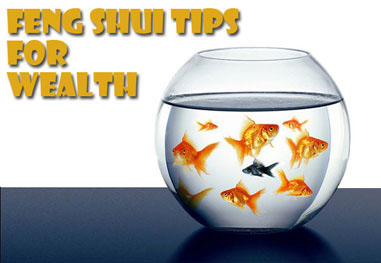 Feng Shui Tips for Wealth with Fish tank