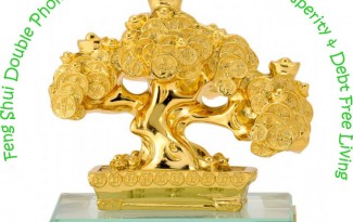 Feng Shui Double Phoenix Coins Tree for Financial Prosperity and Debt Free Living - AlternateHealing.net