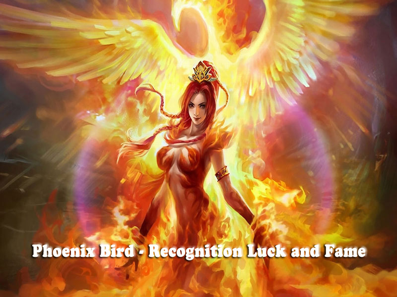 Phoenix Bird - Recognition Luck and Fame