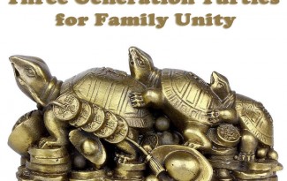 Three Generation Turtles – Feng Shui Remedy for Family Unity - AlternateHealing.net