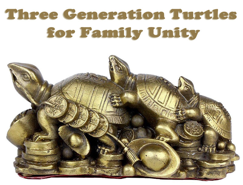 Three Generation Turtles FengShui for Family Unity