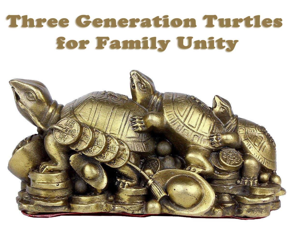 Three Generation Turtles – Feng Shui Remedy for Family Unity - AlternateHealing.net