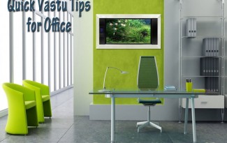 Quick Vastu Tips for Office - AlternateHealing.net