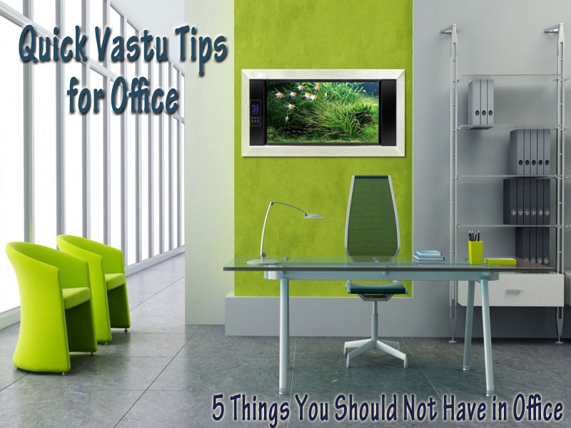 Quick Vastu Tips for Office – 5 Things To Avoid